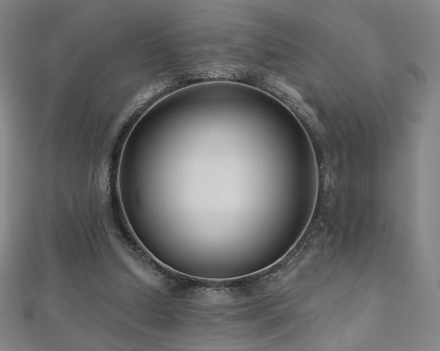 X0000112480250200908171226