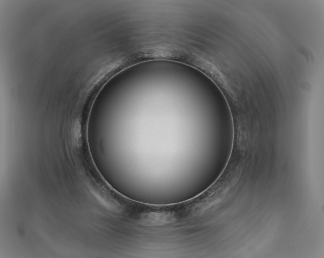 X0000112480251200908171226