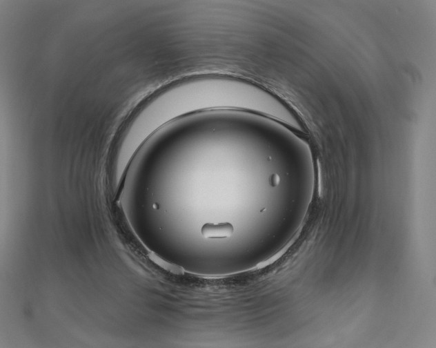 X0000112480252200908171226