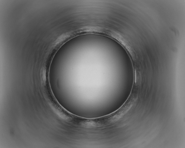 X0000112480253200908171226