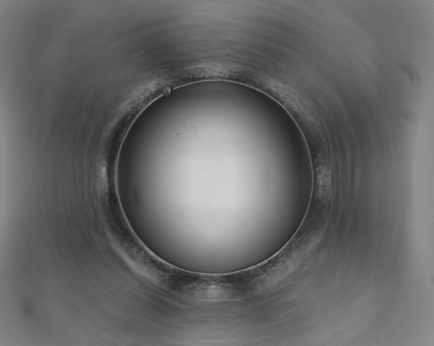 X0000112480254200908171226