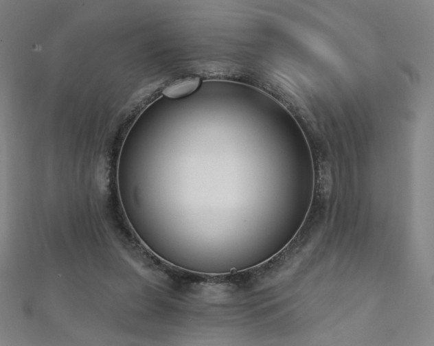 X0000112480255200908171226