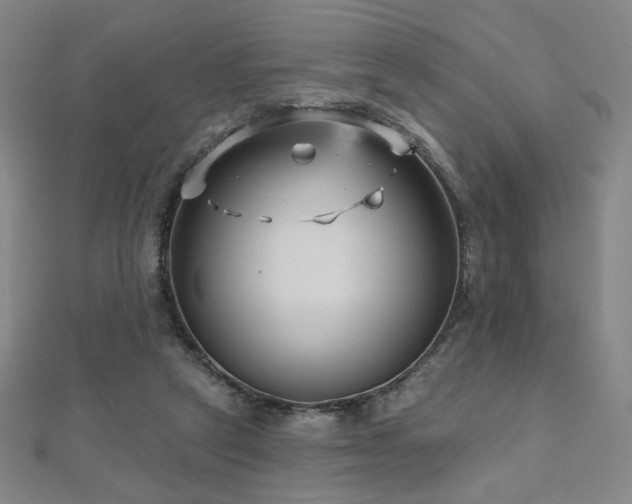 X0000112480257200908171226