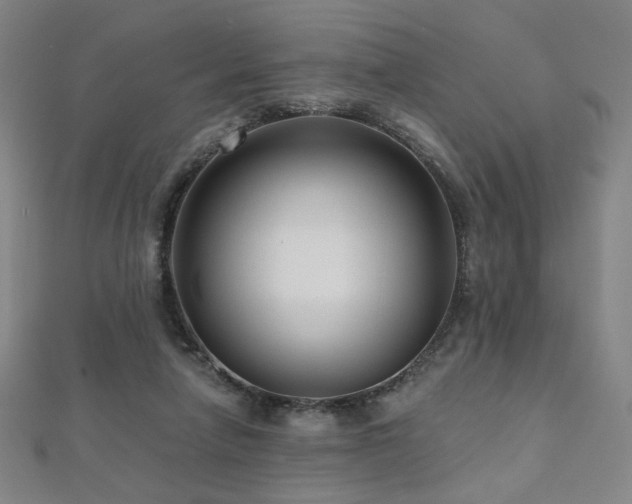 X0000112480258200908171226