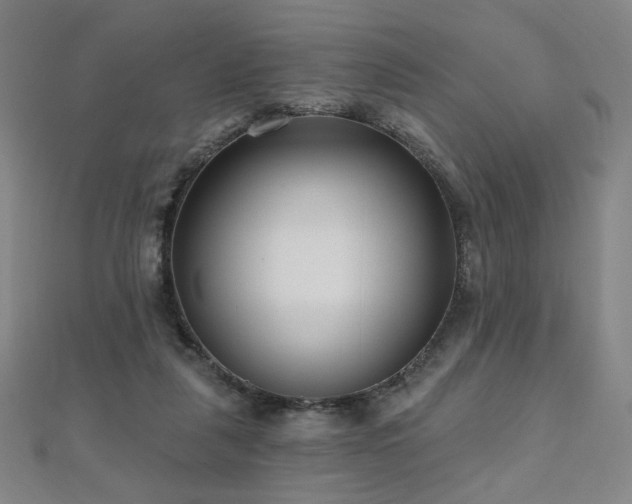 X0000112480259200908171226