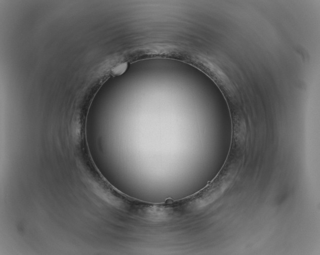 X0000112480261200908171226