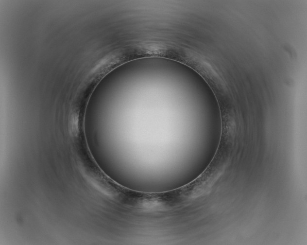 X0000112480262200908171226