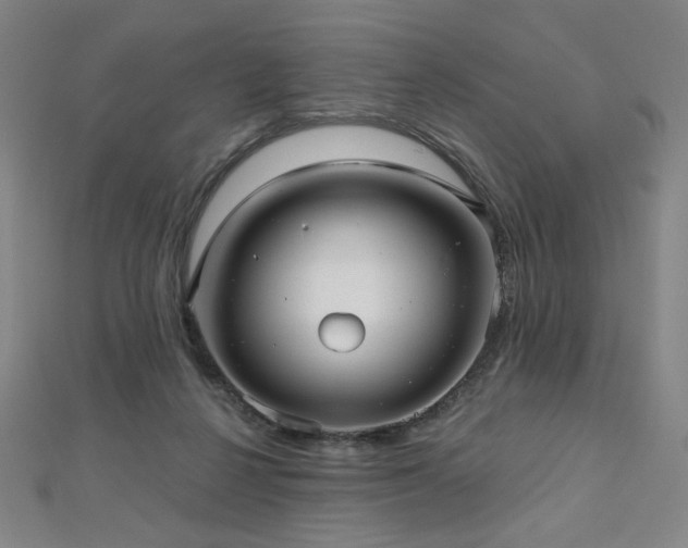 X0000112480264200908171226