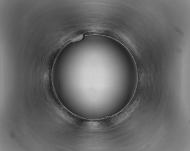 X0000112480265200908171226