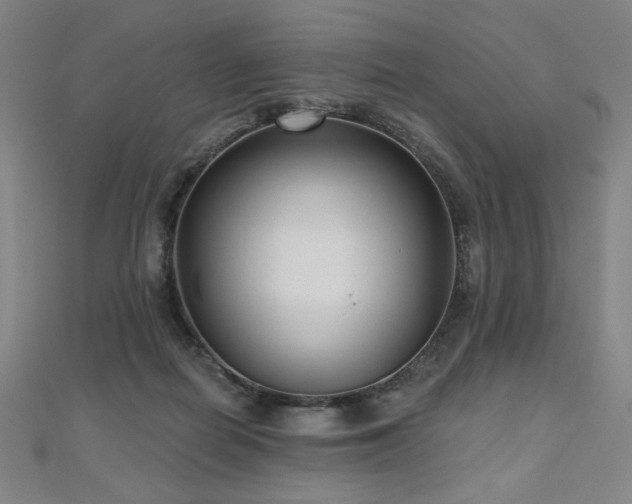 X0000112480266200908171226