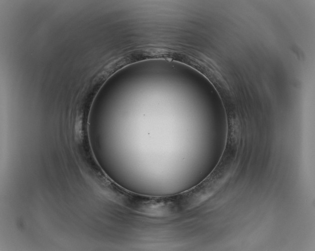 X0000112480267200908171226