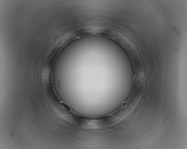 X0000112480268200908171226