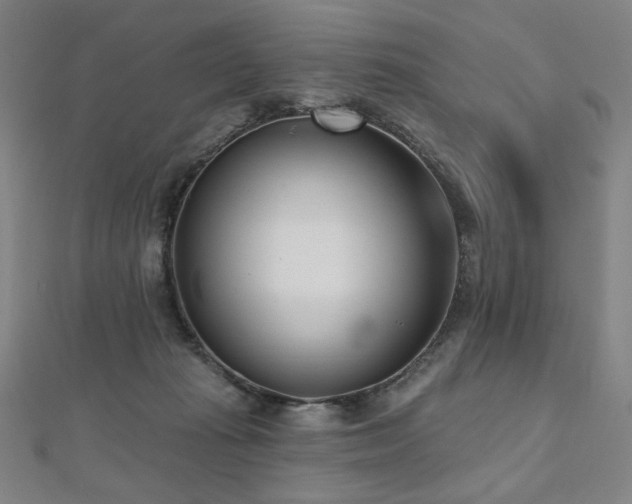 X0000112480269200908171226
