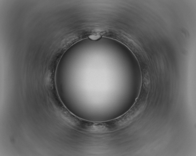 X0000112480270200908171226