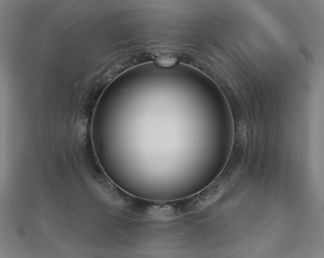X0000112480271200908171226