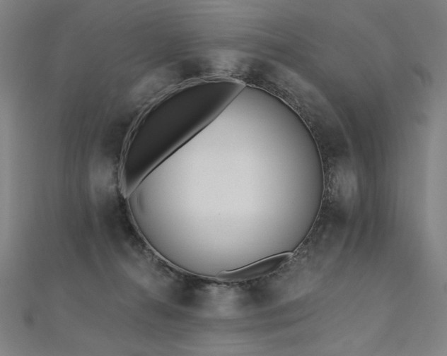 X0000112480272200908171226