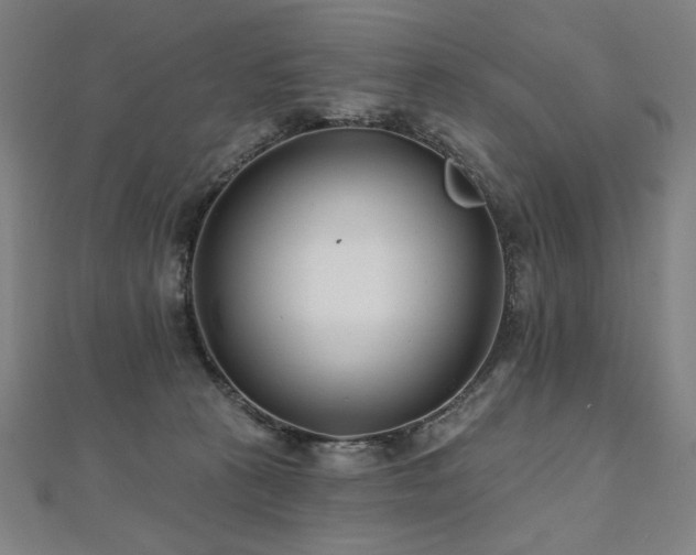 X0000112480273200908171226