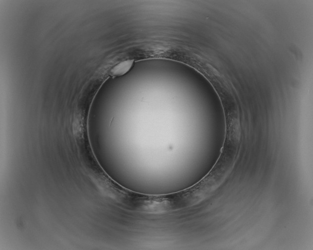 X0000112480274200908171226