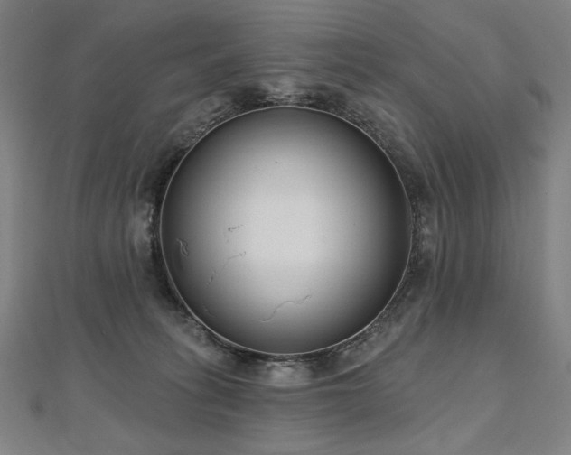 X0000112480275200908171226