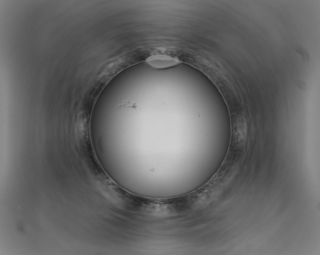 X0000112480276200908171226
