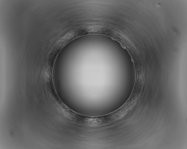 X0000112480277200908171226