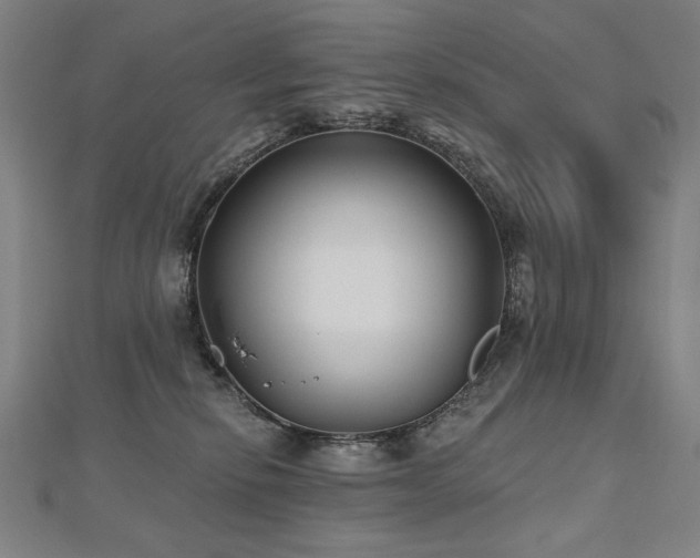 X0000112480278200908171226