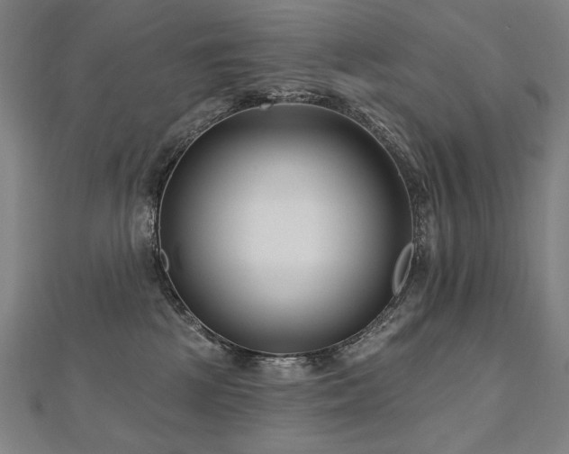 X0000112480281200908171226