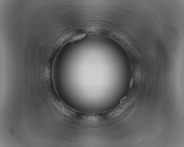 X0000112480282200908171226