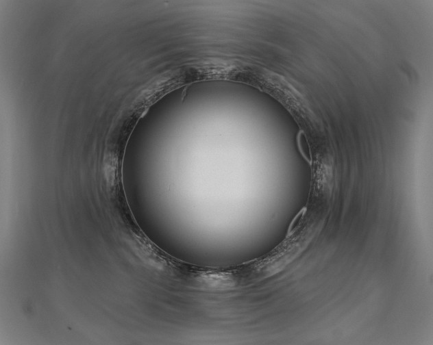 X0000112480283200908171226