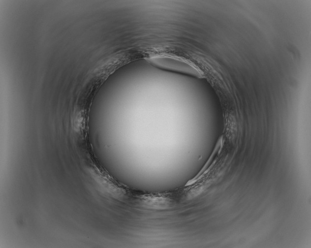 X0000112480284200908171226