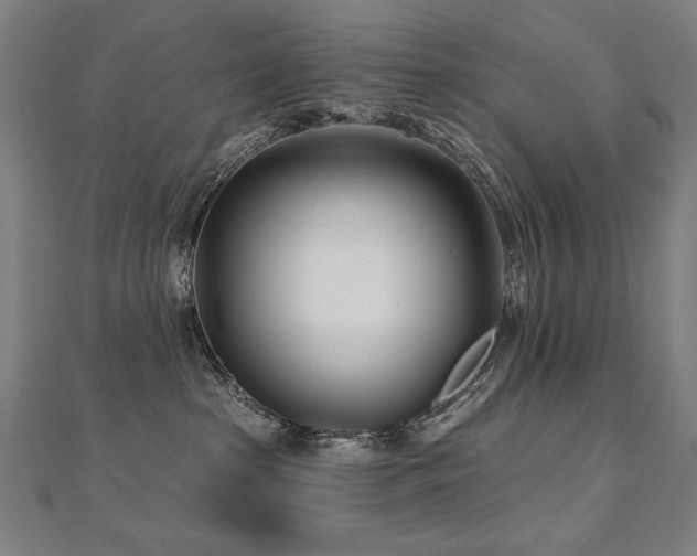 X0000112480285200908171226