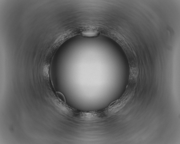 X0000112480286200908171226