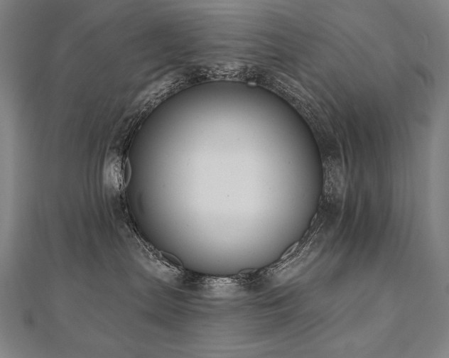 X0000112480287200908171226
