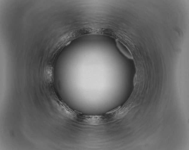 X0000112480288200908171226