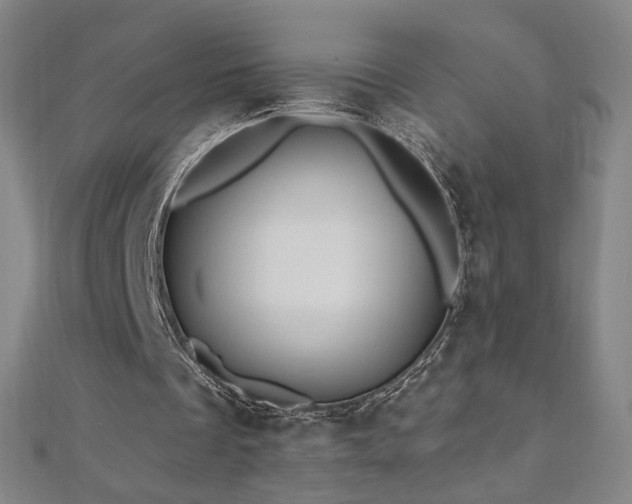 X0000112480289200908171225