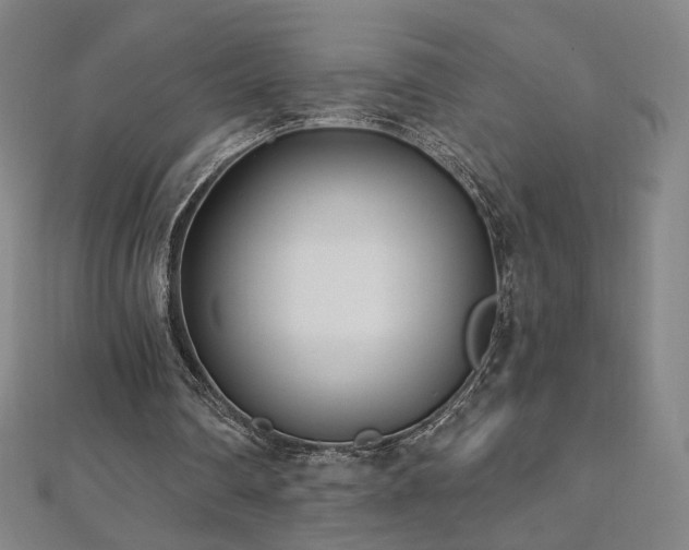 X0000112480290200908171225