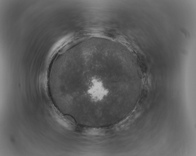 X0000112480293200908171225