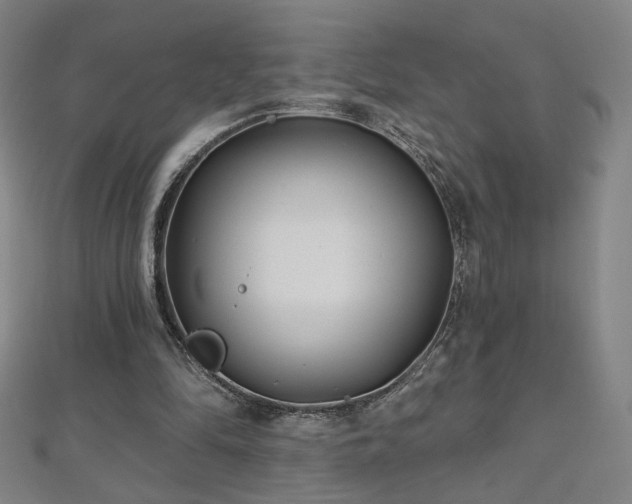 X0000112480294200908171225