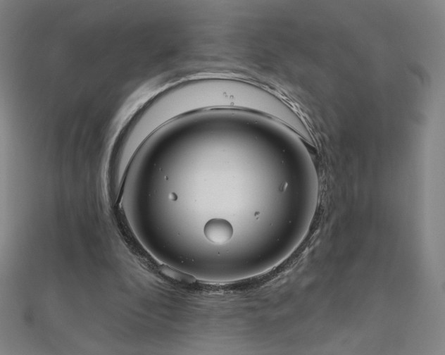 X0000112480296200908171225