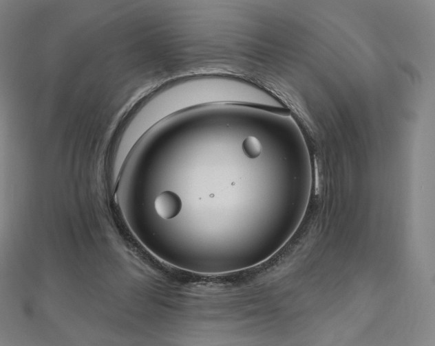 X0000112480300200908171225