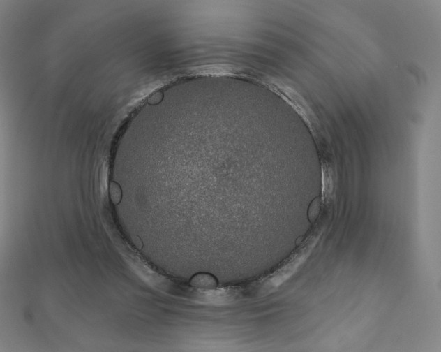 X0000112480301200908171225