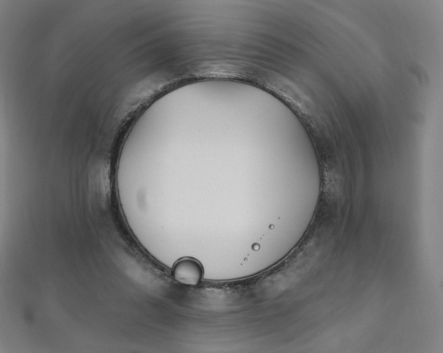 X0000112480302200908171225