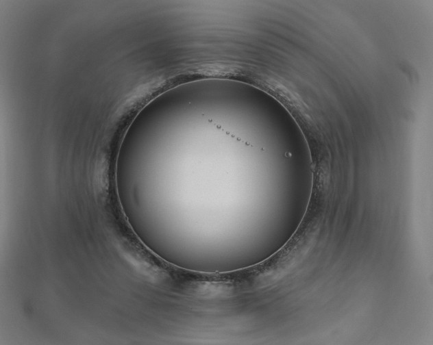 X0000112480303200908171225