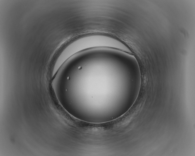 X0000112480304200908171225