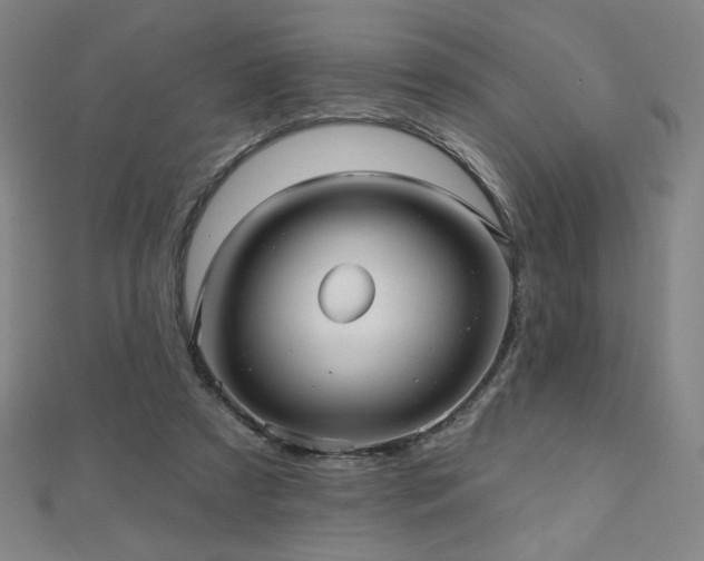 X0000112480305200908171225
