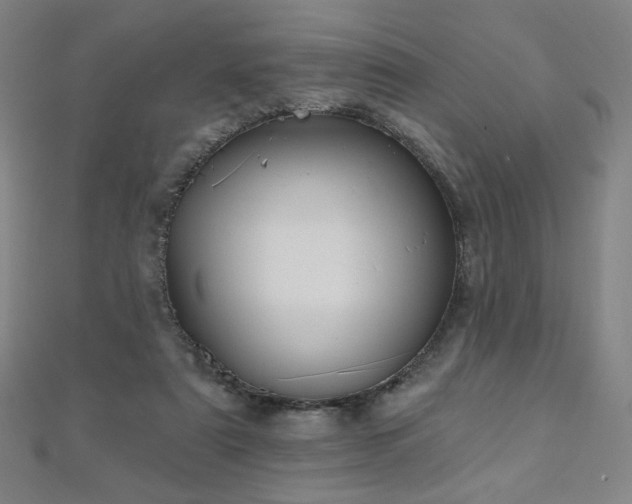 X0000112480307200908171225