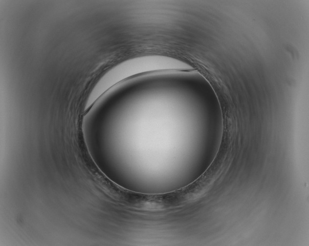 X0000112480308200908171225