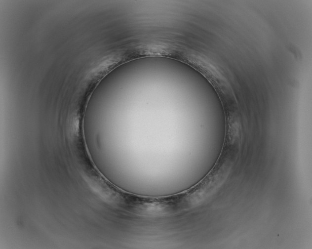 X0000112480310200908171225