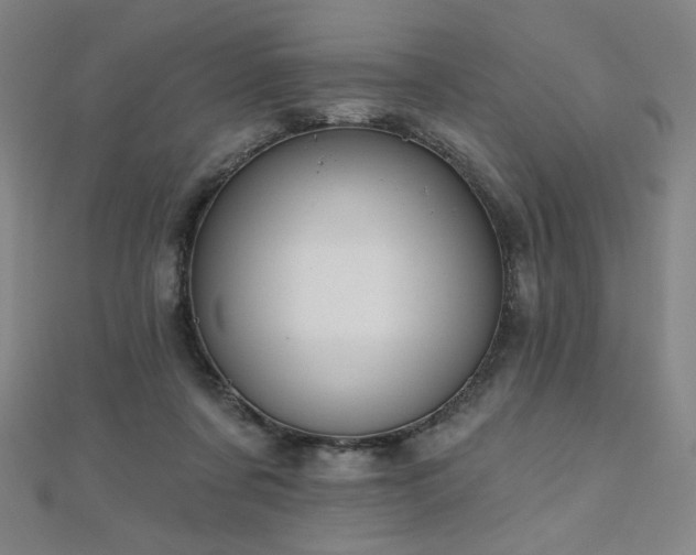 X0000112480311200908171225