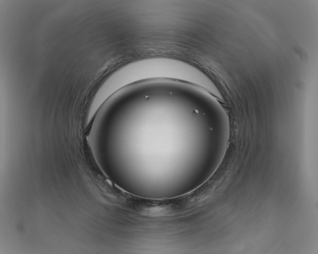 X0000112480312200908171225
